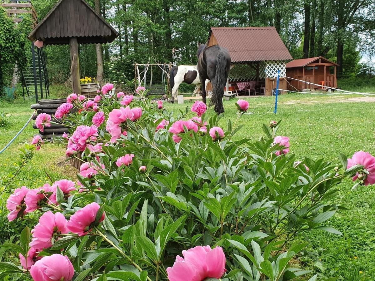 Kurnik Polski Agroturystyka Тикочин Екстериор снимка