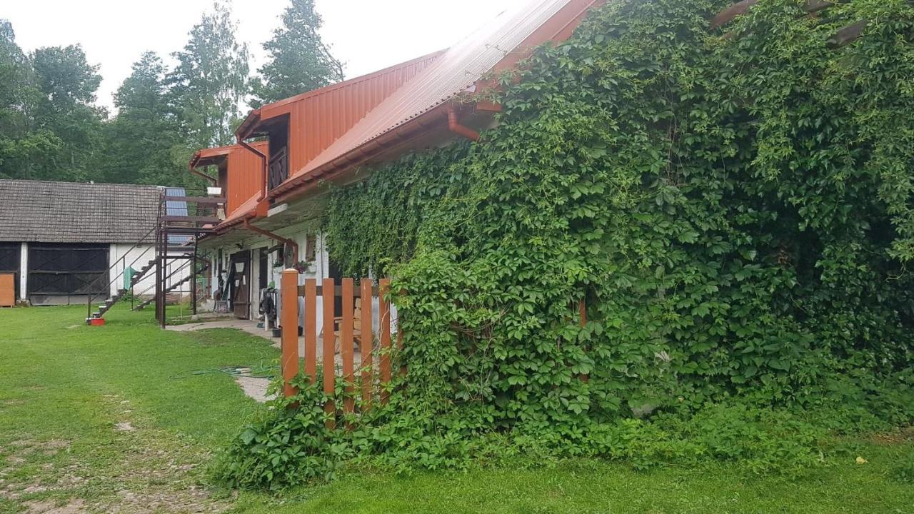 Kurnik Polski Agroturystyka Тикочин Екстериор снимка