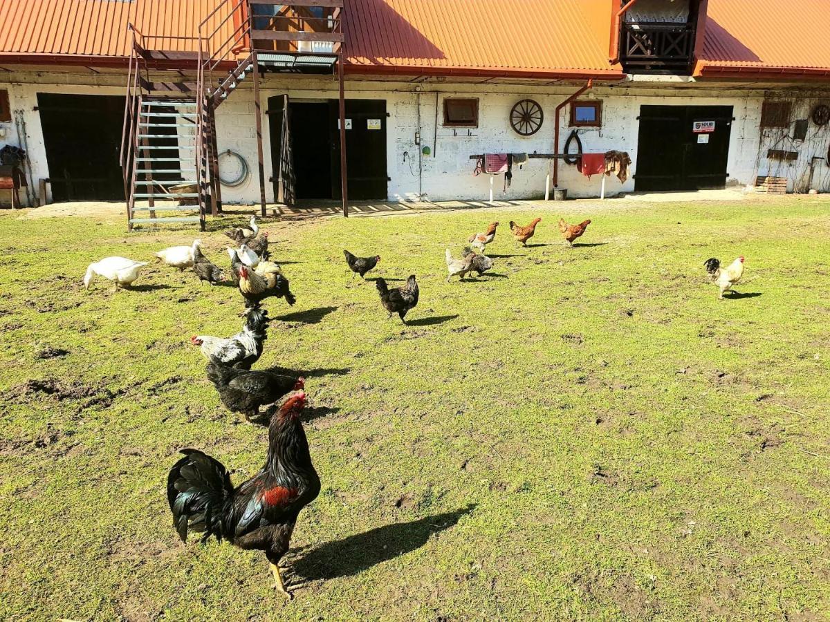 Kurnik Polski Agroturystyka Тикочин Екстериор снимка