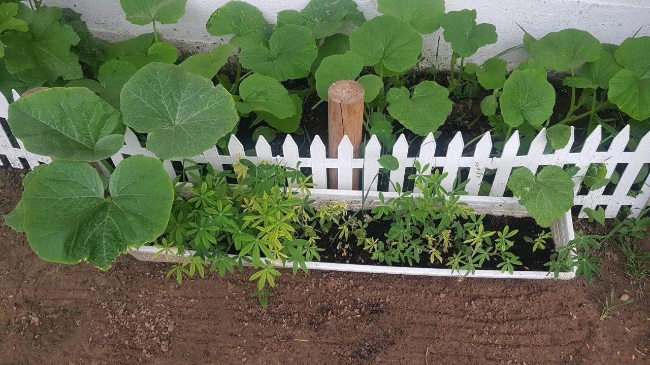 Kurnik Polski Agroturystyka Тикочин Екстериор снимка