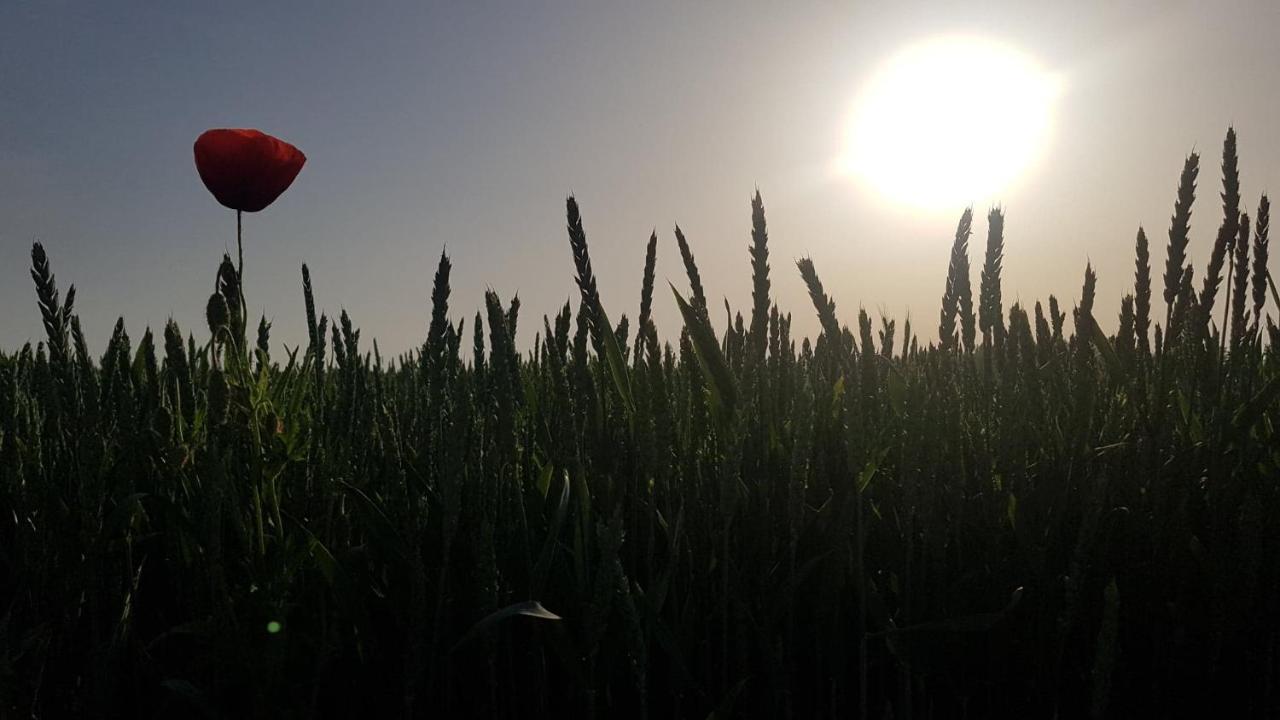 Kurnik Polski Agroturystyka Тикочин Екстериор снимка