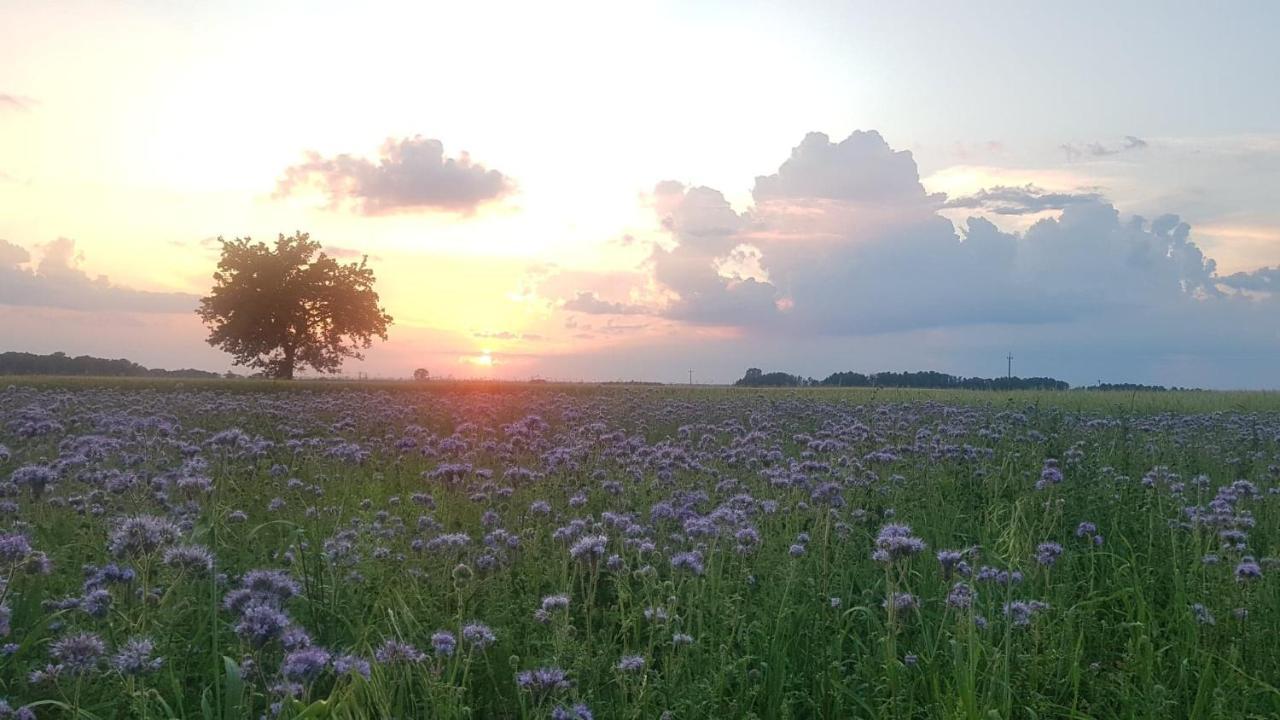 Kurnik Polski Agroturystyka Тикочин Екстериор снимка